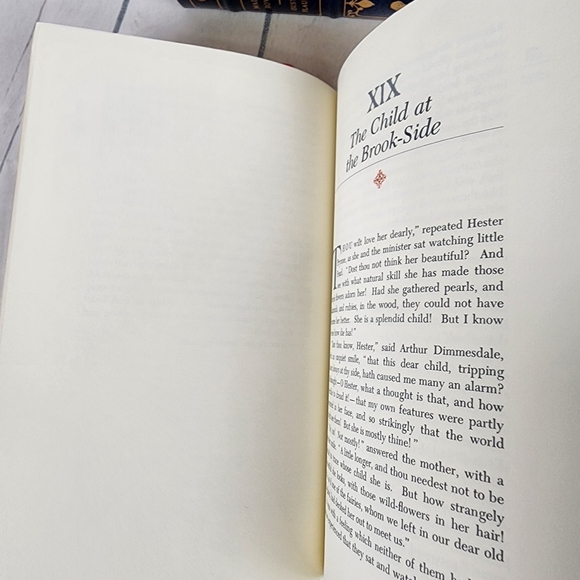 The Scarlett Letter Vintage 1979 Franklin Library Novel 1/4 Leather Bound - Picture 10 of 13